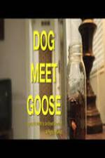 Watch Dog Meet Goose M4ufreemovies