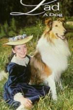 Watch Lad A Dog M4ufreemovies