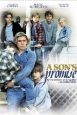 Watch A Son's Promise M4ufreemovies