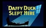 Watch Daffy Duck Slept Here (Short 1948) M4ufreemovies