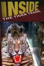 Watch Inside: The Tiger Trade M4ufreemovies