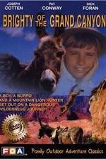 Watch Brighty of the Grand Canyon M4ufreemovies