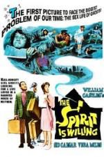 Watch The Spirit Is Willing M4ufreemovies