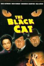 Watch The Black Cat M4ufreemovies