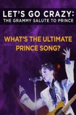 Watch Let\'s Go Crazy: The Grammy Salute to Prince M4ufreemovies