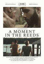 Watch A Moment in the Reeds M4ufreemovies