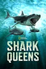 Watch Shark Queens M4ufreemovies