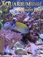 Watch Aquarium for Your Home: Saltwater Reef M4ufreemovies