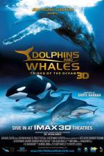Watch Dolphins and Whales 3D Tribes of the Ocean M4ufreemovies