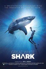 Watch Great White Shark M4ufreemovies