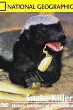 Watch National Geographic: Snake Killers Honey Badgers Of The Kalahari M4ufreemovies