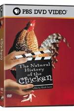 Watch The Natural History of the Chicken M4ufreemovies