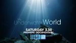 Watch My Underwater World (TV Special 2024) M4ufreemovies