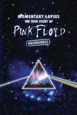 Watch Pink Floyd: Momentary Lapses - The True Story Of Pink Floyd M4ufreemovies