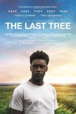 Watch The Last Tree M4ufreemovies