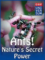 Watch Ants: Nature\'s Secret Power M4ufreemovies