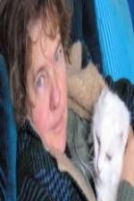 Watch Ciao Meow M4ufreemovies