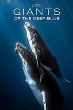 Watch Giants of the Deep Blue M4ufreemovies