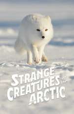 Watch Strange Creatures of the Arctic (TV Special 2022) M4ufreemovies