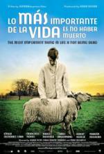 Watch The Most Important Thing in Life Is Not Being Dead M4ufreemovies