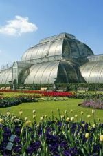 Watch Cruickshank on Kew: The Garden That Changed the World M4ufreemovies
