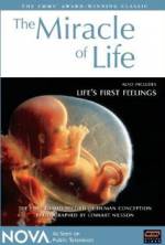 Watch The Miracle of Life M4ufreemovies