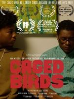 Watch Caged Birds M4ufreemovies