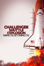 Watch Challenger Shuttle Disaster: Minute by Minute M4ufreemovies