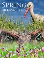 Watch Spring: The Return of Life M4ufreemovies
