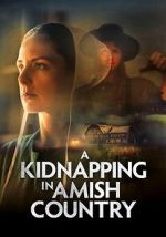 Watch A Kidnapping in Amish Country M4ufreemovies