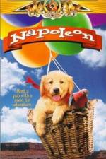 Watch Napoleon M4ufreemovies