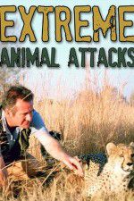 Watch Extreme Animal Attacks M4ufreemovies