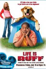 Watch Life Is Ruff M4ufreemovies