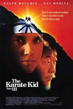 Watch The Karate Kid, Part III M4ufreemovies