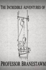 Watch The Incredible Adventures of Professor Branestawm M4ufreemovies