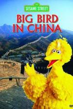 Watch Big Bird in China M4ufreemovies