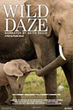 Watch Wild Daze M4ufreemovies