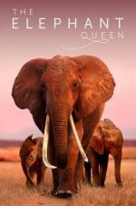 Watch The Elephant Queen M4ufreemovies