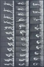 Watch Woman Throwing Baseball M4ufreemovies