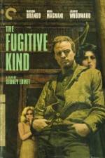 Watch The Fugitive Kind M4ufreemovies