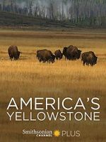 Watch America\'s Yellowstone M4ufreemovies