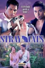 Watch Stray Cats M4ufreemovies