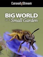 Watch Big World in a Small Garden (TV Short 2016) M4ufreemovies