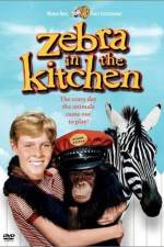 Watch Zebra in the Kitchen M4ufreemovies