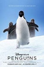 Watch Penguins M4ufreemovies