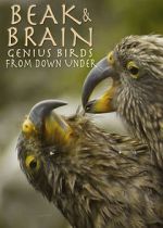 Watch Beak & Brain - Genius Birds from Down Under M4ufreemovies