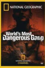 Watch National Geographic World's Most Dangerous Gang M4ufreemovies