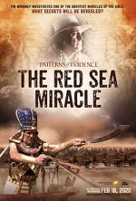 Watch Patterns of Evidence: The Red Sea Miracle M4ufreemovies