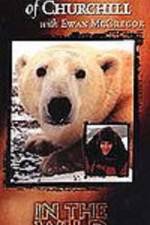 Watch The Polar Bears of Churchill with Ewan McGregor M4ufreemovies