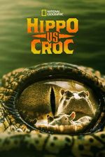 Watch Hippo vs Croc M4ufreemovies